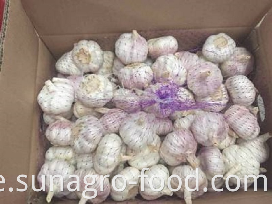 White Garlic Is Packed In Ordinary Cases
